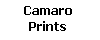 This product category offers: